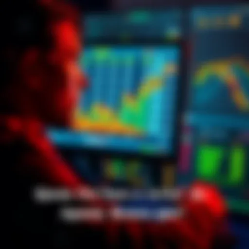 A person looking at a computer screen displaying betting statistics and profits