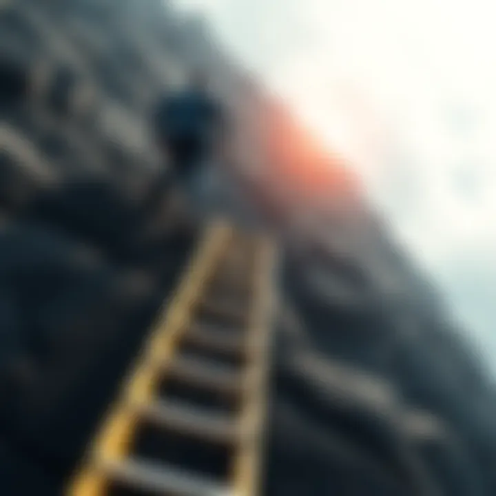 A person climbing a steep career ladder, representing professional growth and challenges.