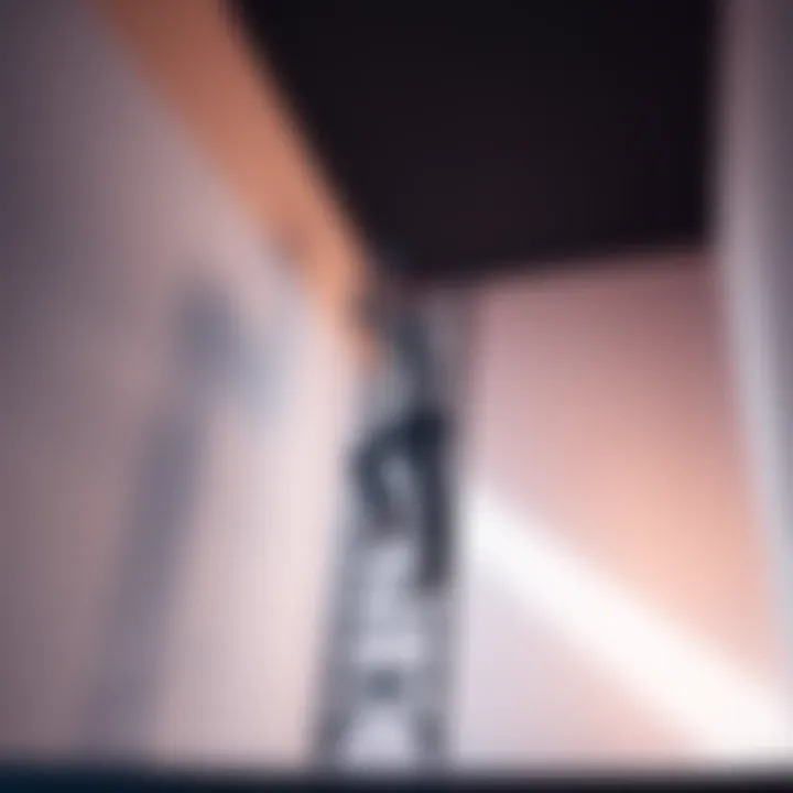 Dyson Assist Ladder in use A person using the Dyson Assist Ladder to reach high places for cleaning