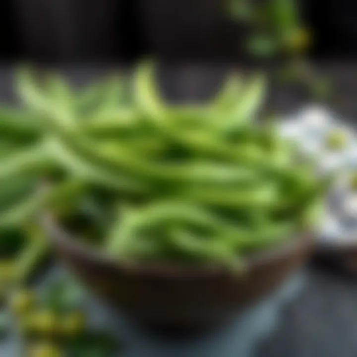 A bowl of fresh Irish Spring Green Beans ready for cooking