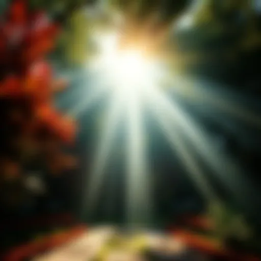A peaceful scene showing sunlight through trees, symbolizing hope and divine kindness, with a serene atmosphere.