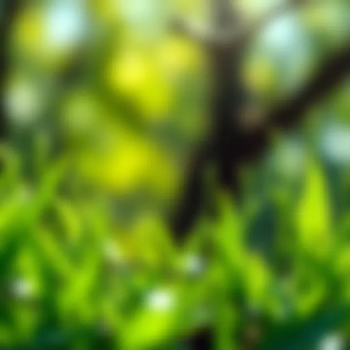 Fresh green leaves and plants emerging, symbolizing renewal and life, as nature transforms in spring.