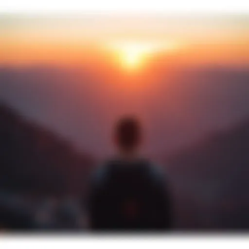 A person looking out at a sunset from a mountain top, symbolizing hope and new beginnings in overcoming gambling addiction.