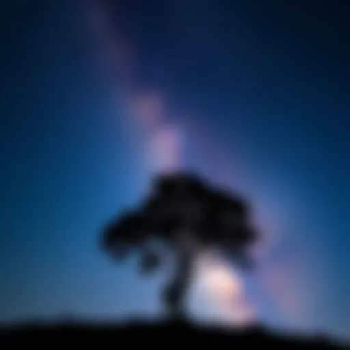 A serene night sky with stars and a silhouette of a person contemplating under a tree