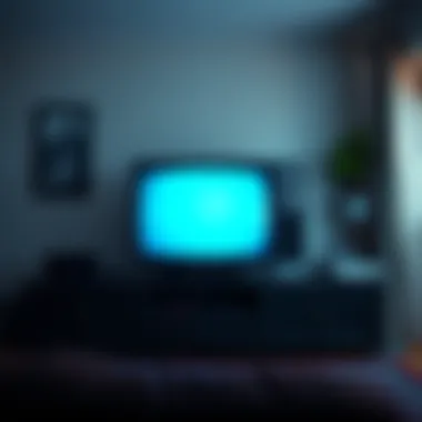 A well-maintained television from 2006 set in a cozy living room, showcasing its durability and functionality over the years.