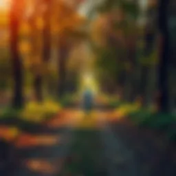 A person walking on a path surrounded by trees, symbolizing the journey of overcoming loss and embracing change.