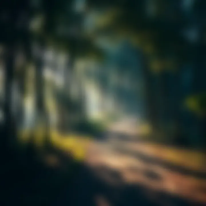 A serene path winding through a quiet forest, symbolizing life's journey and decisions. The light filters through the trees, creating a peaceful atmosphere.