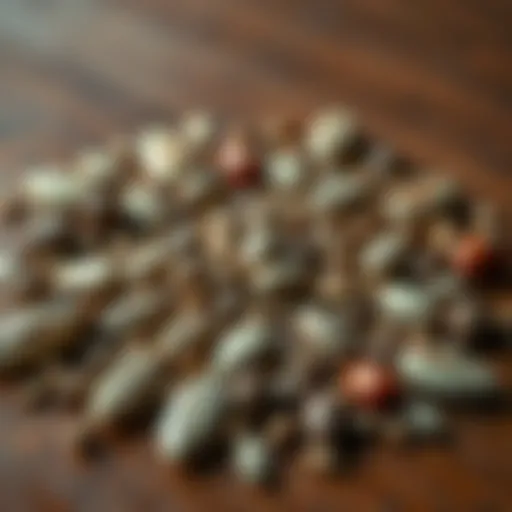 A close-up of various seeds arranged in a pattern on a wooden surface, showcasing different shapes and colors.