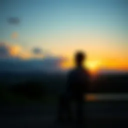 A person sitting on a bench, looking thoughtfully at a sunset, symbolizing reflection and resilience after loss.