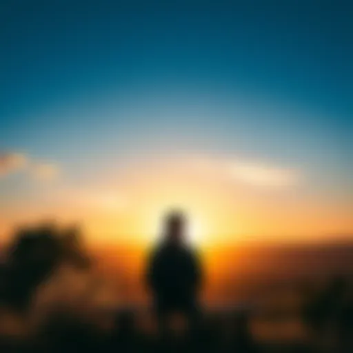 Person finding hope A person sitting on a bench looking thoughtful, with a sunrise in the background symbolizing a new beginning.