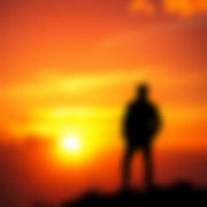 A person standing on a hill, gazing at a vibrant sunset, symbolizing hope and new beginnings.