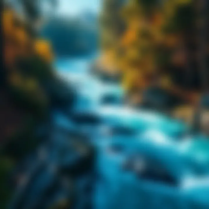 A river flowing through a forest, symbolizing challenges in life and nature's influence on choices.