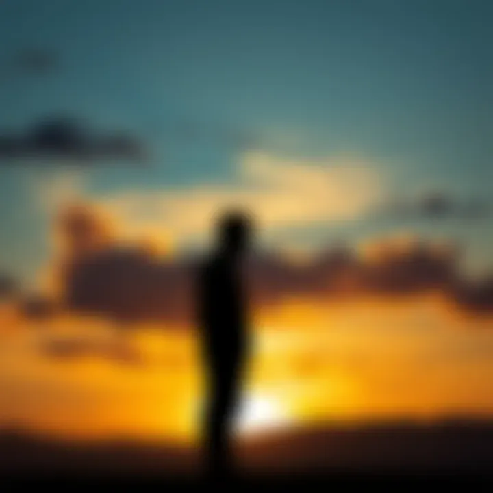 A person standing alone, looking contemplative with a sunset in the background, reflecting on deep emotions