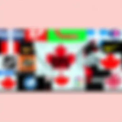 A collage of popular sports betting websites in Quebec, featuring NHL and CFL logos