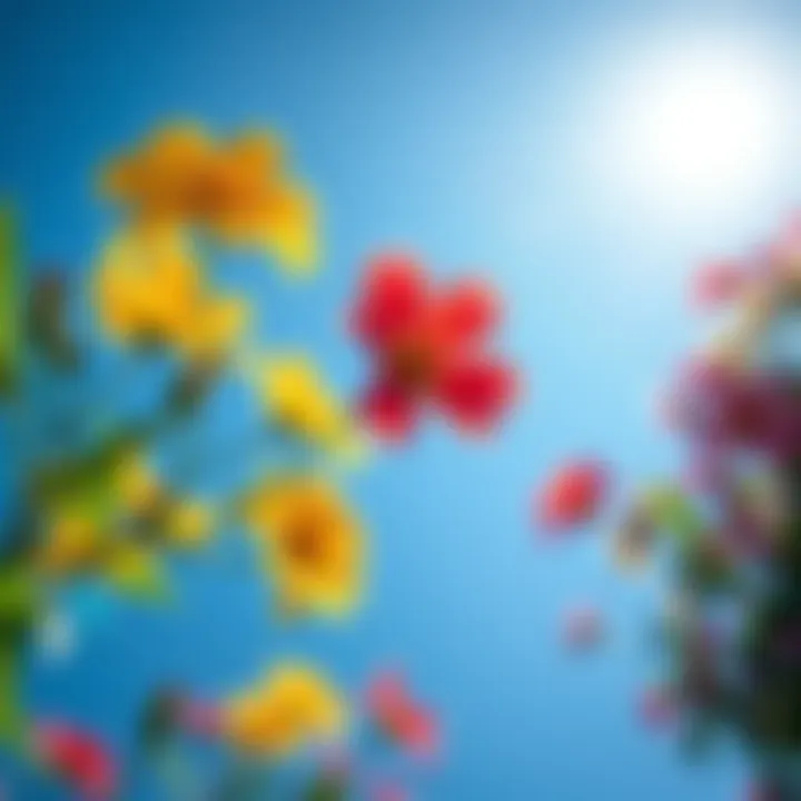 A bright sunny day featuring colorful flowers and a clear blue sky, symbolizing joy and simple pleasures.