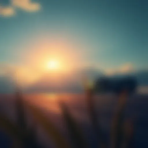 A sunrise with a bright sky symbolizing change, representing an unexpected event that occurred at 5 AM yesterday.