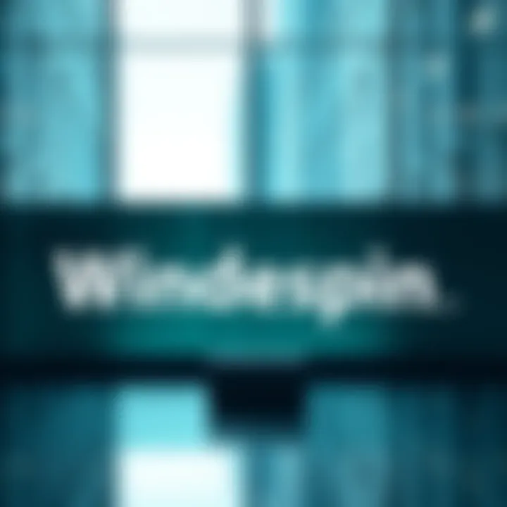 The logo of Windespin.com displayed prominently, with a clean and modern design