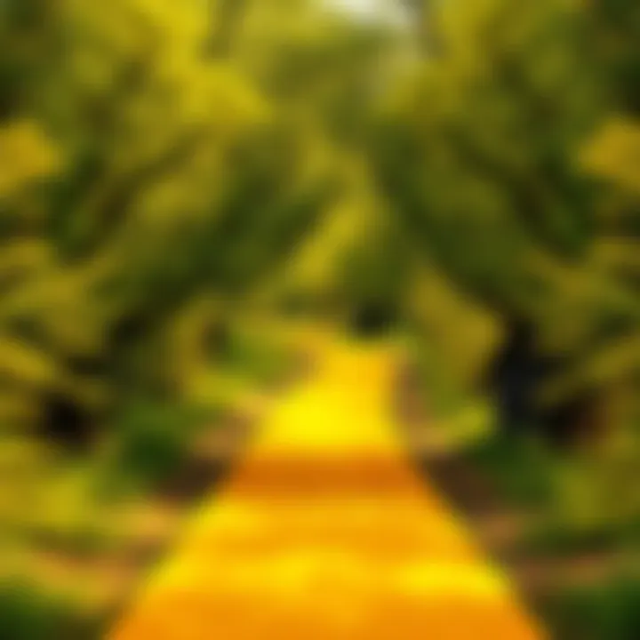 A bright yellow pathway winding through green trees, symbolizing choices in life.